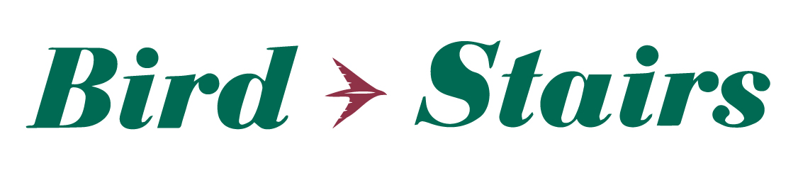 Bird Stairs - Collen Hatcher