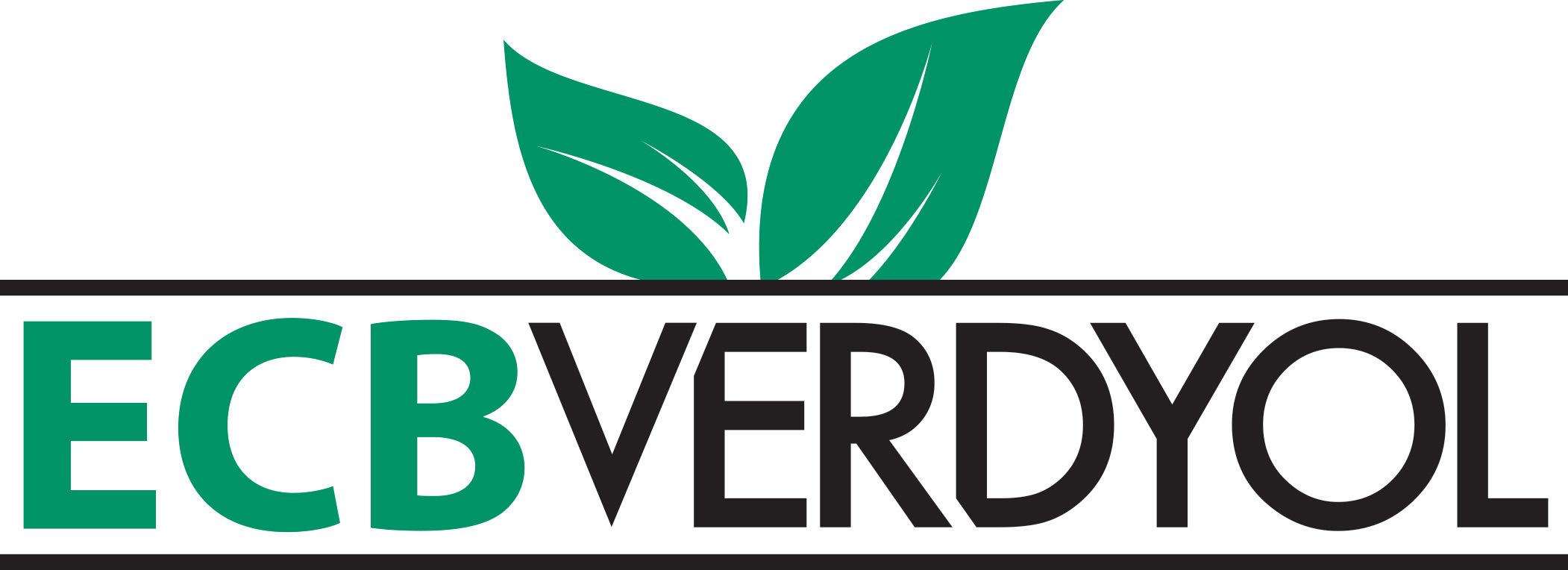 ECB Logo - Stephanie O_Ray