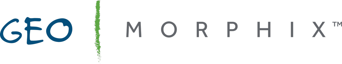 GEOmorphixTM_horiz - Emily Blair (1)